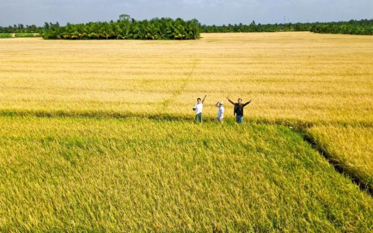 Nên chuẩn bị sẵn đồ đạc trước chuyến đi