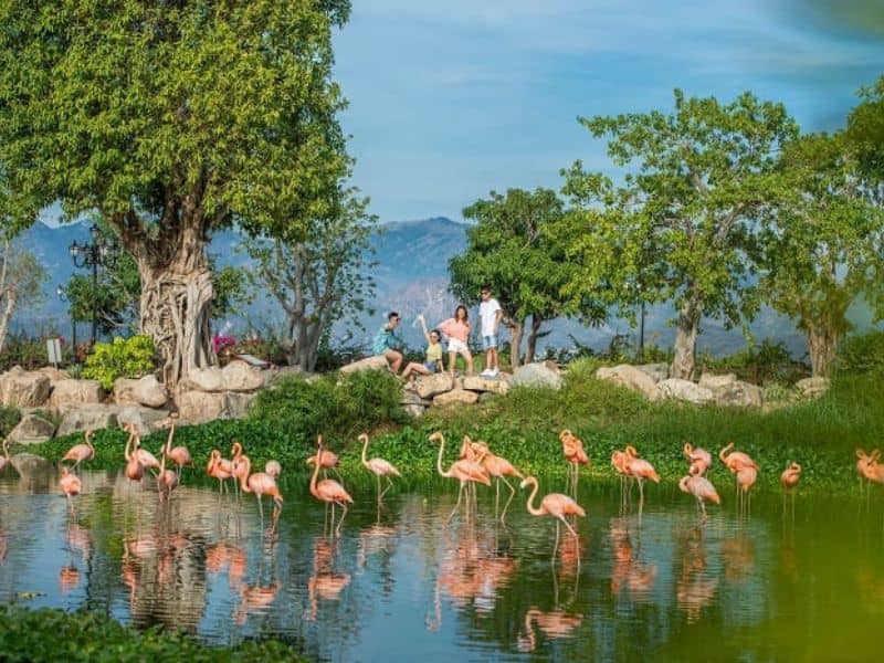 Nét đẹp thiên nhiên thơ mộng tại đây