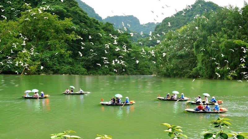 Ngắm hệ sinh thái trù phú ở quanh động