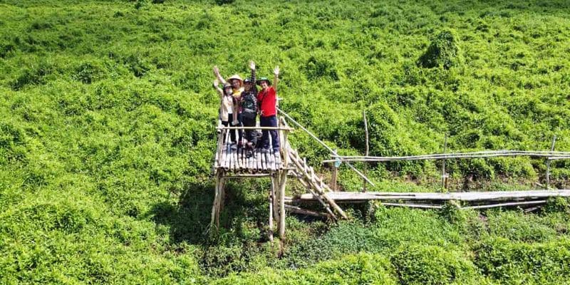 Ngắm nhìn U Minh Hạ từ đài quan sát trên cao
