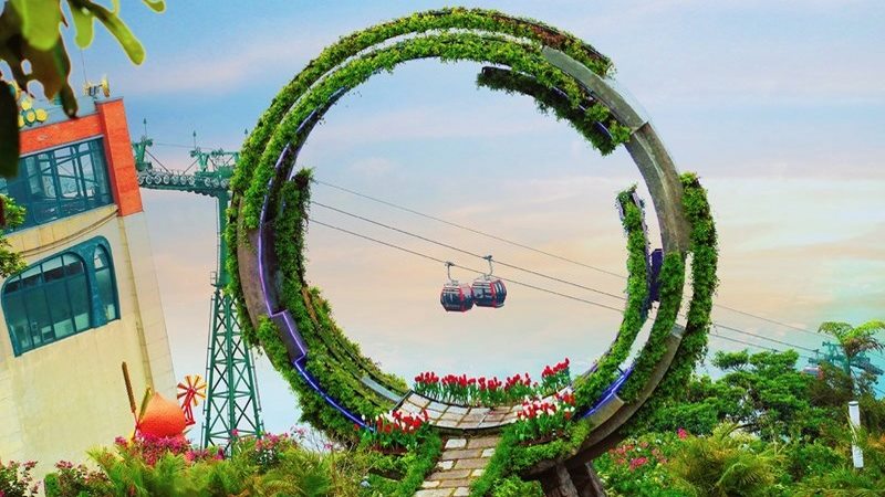 Ngắm rừng xanh và những vạt hoa nở rộ