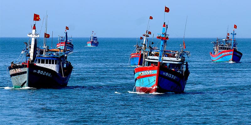 Ngày mới trên biển bắt đầu bằng những tiếng gọi và niềm hy vọng bội thu