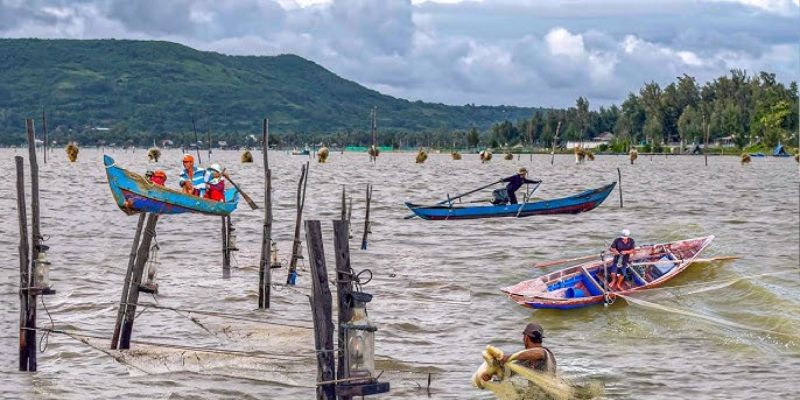 Ngư dân chèo thuyền đưa khách tham quan, khám phá các khu vực nuôi thủy sản