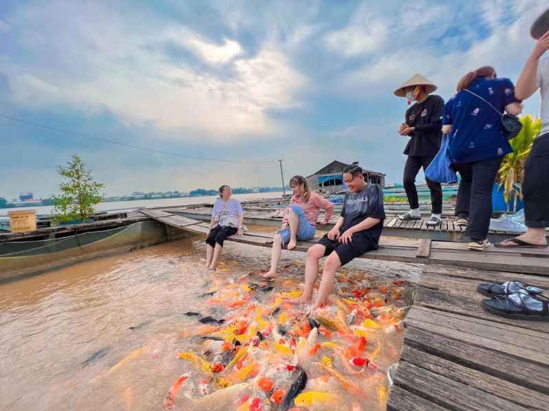 Du lịch Cồn Sơn trải nghiệm các hoạt động thú vị