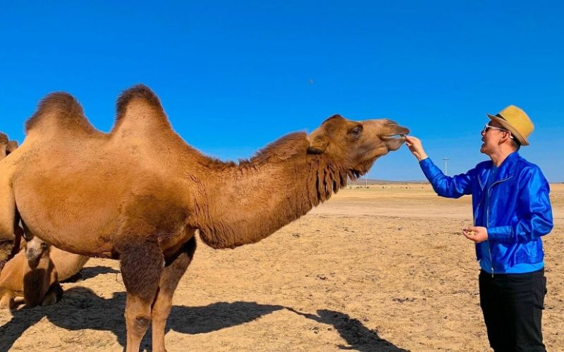 Nhiều đối tượng phải xin thị thực khi đến Mông Cổ