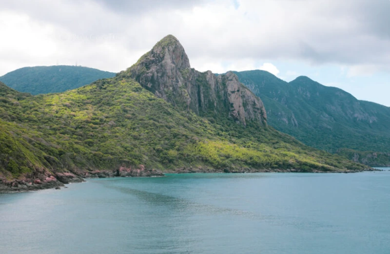 Những cánh rừng nguyên sinh diện tích rộng lớn, phủ xanh đất liền