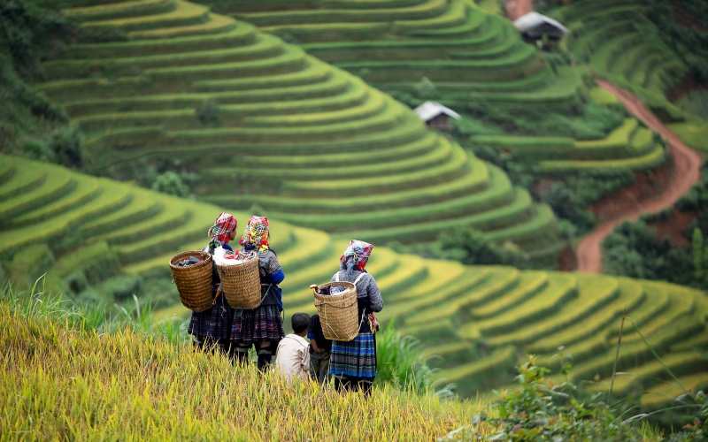 Tây Bắc, vùng đất có thiên nhiên thơ mộng
