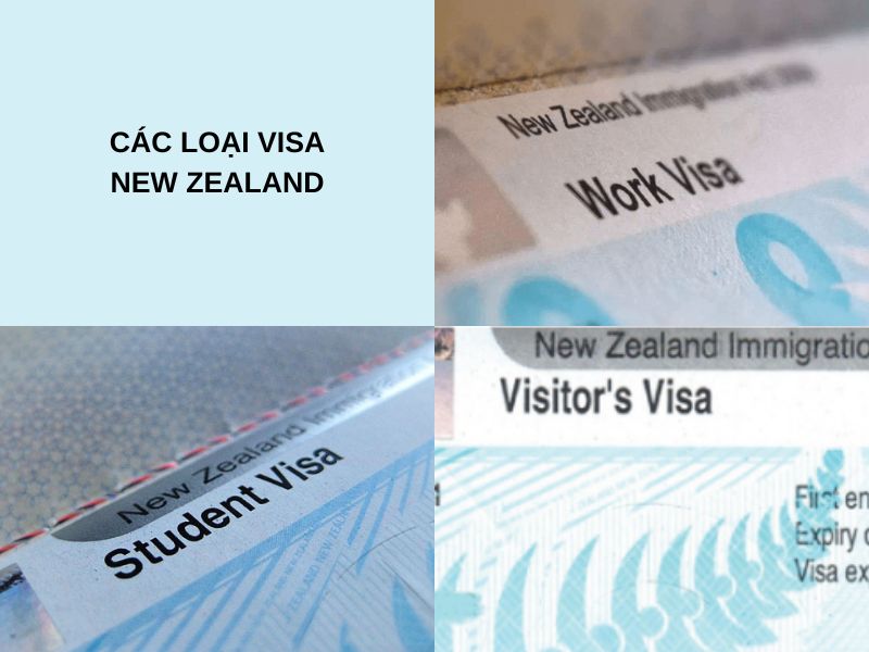 Những loại visa New Zealand thông dụng nhất hiện nay