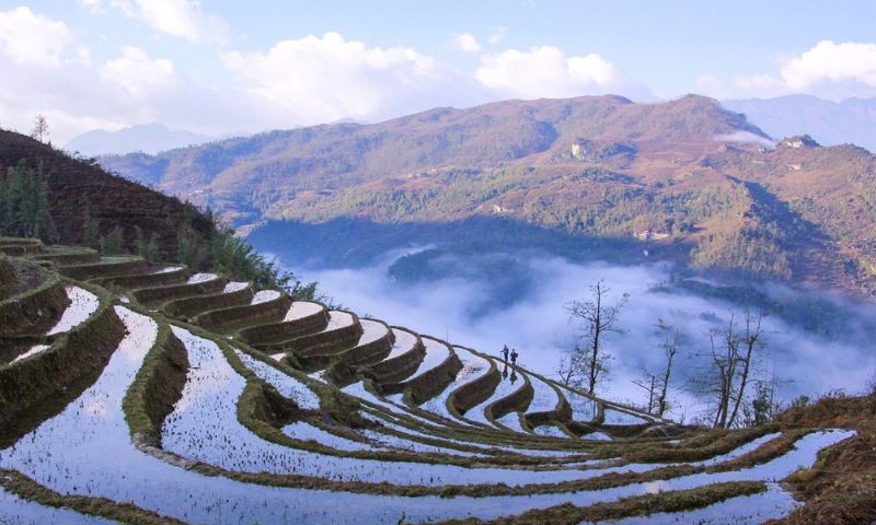 Những thửa ruộng bậc thang mềm mại uốn lượn đẹp mắt