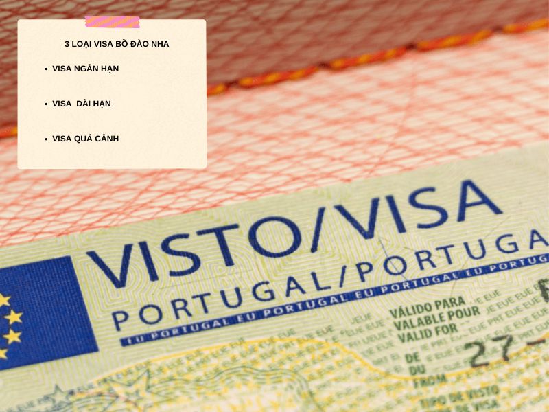 Những visa Bồ Đào Nha thường xuyên được cấp cho người nước ngoài