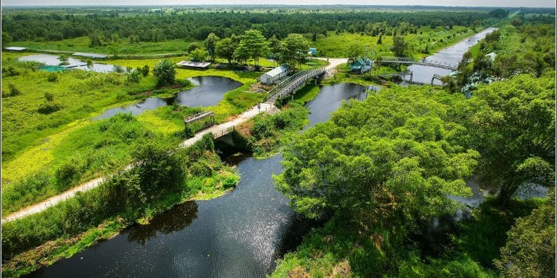 Nơi đây được UNESCO công nhận là khu dự trữ sinh quyển thế giới