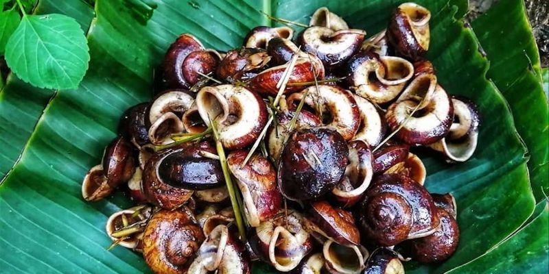 Ốc núi Ninh Bình thơm ngon, giòn bùi