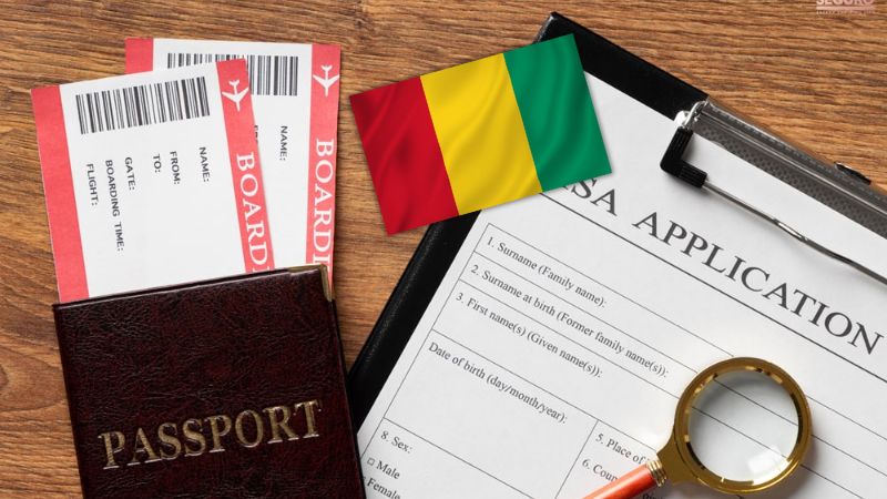 Phân loại visa Guinea theo mục đích nhập cảnh
