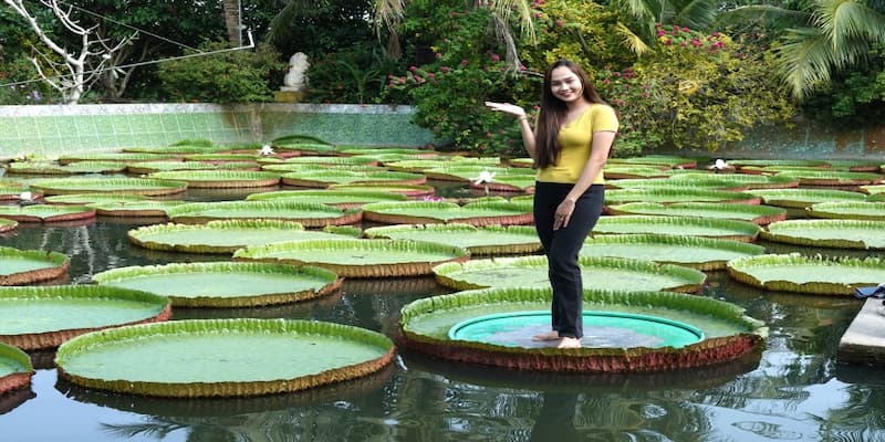 Trải nghiệm nhiều địa điểm du lịch hấp dẫn khác