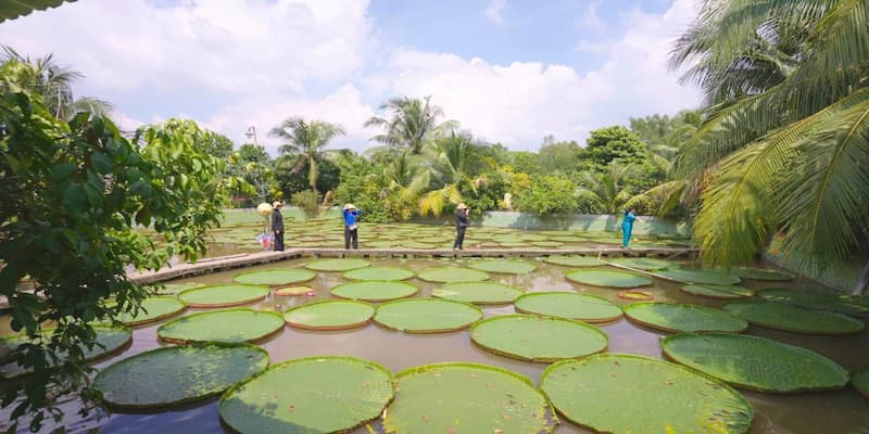 Thiên nhiên tươi đẹp của chùa tạo cảm giác bình yên