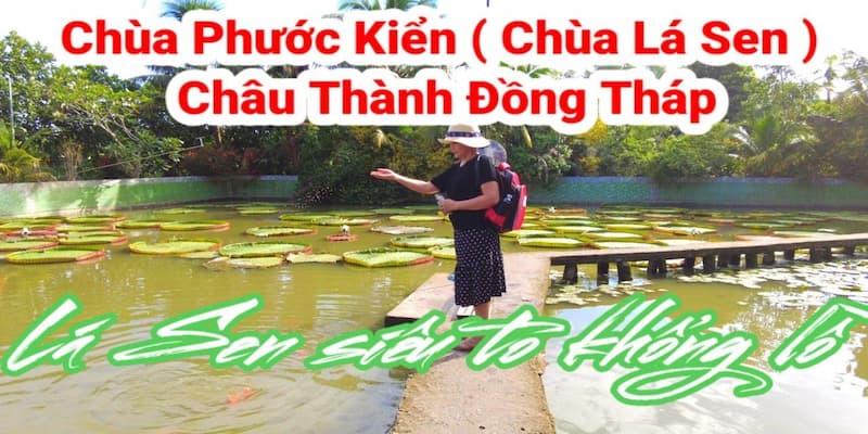 Nên tới thăm chùa vào cuối năm để săn được hình đẹp nhất