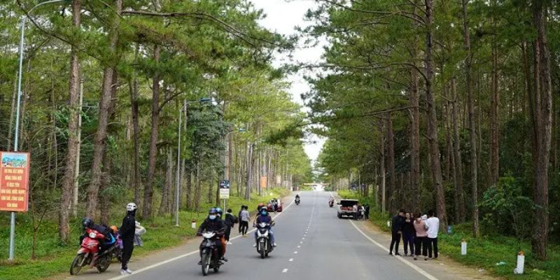 Có nhiều sự lựa chọn phương tiện di chuyển khi đến khu du lịch Măng Đen