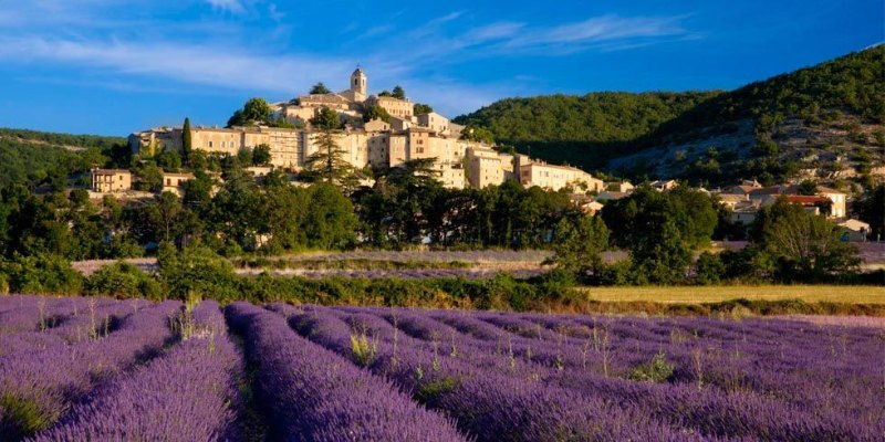 Tham quan Provence - Vùng đất của lavender và rượu vang