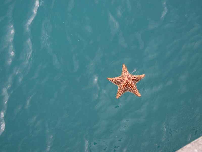 Lưu ý khi đi tham quan làng chài