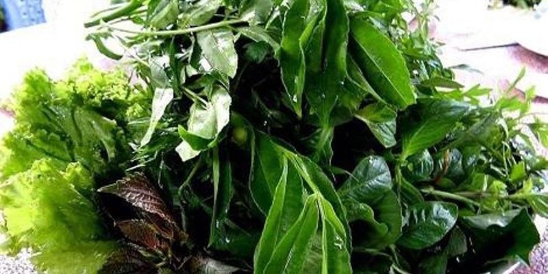 Rau rừng Sơn Trà đậm đà khó quên