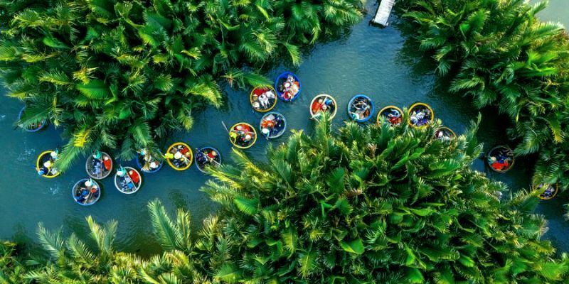 Rừng dừa đã được trồng từ rất lâu về trước