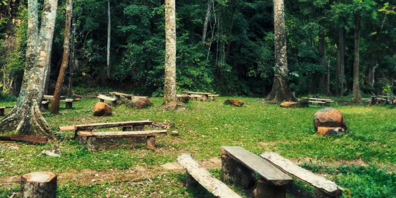 Vẻ đẹp yên bình của rừng nguyên sinh thác Pa Sỹ