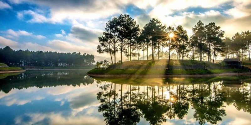 Báo giá vé thăm quan rừng thông hiện nay