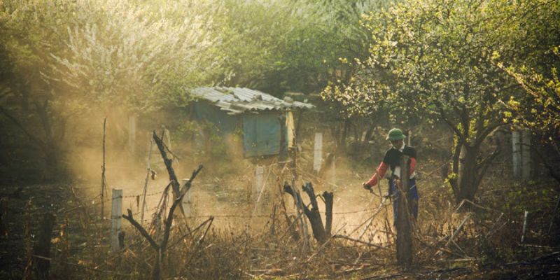 Khám phá nhiều cung đường checkin điệu nghệ