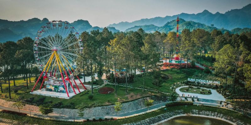 Nên tham quan rừng thông vào từ tháng 1 tới tháng 3