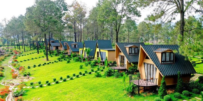 Tóm tắt các thông tin về khu rừng thông bản Áng