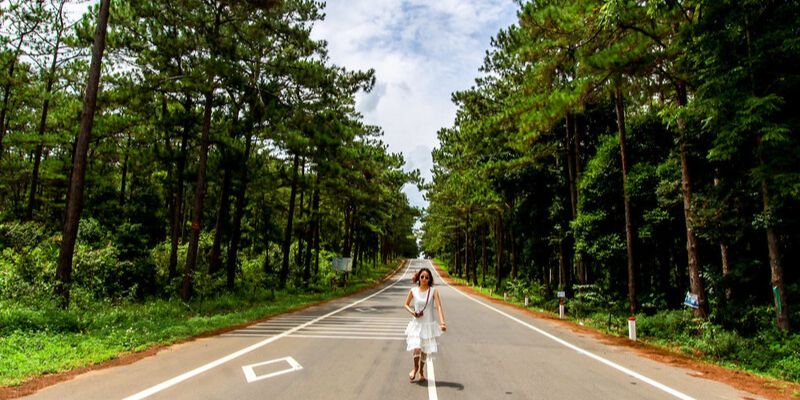 Đừng quên chụp tấm ảnh khi dạo bước dưới tán rừng thông Măng Đen