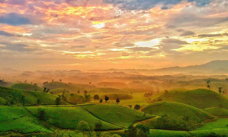 Săn những bức ảnh đẹp cùng đồi chè