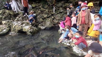 Suối Cá Thần Cẩm Lương - Địa Danh Linh Thiêng Tại Thanh Hoá