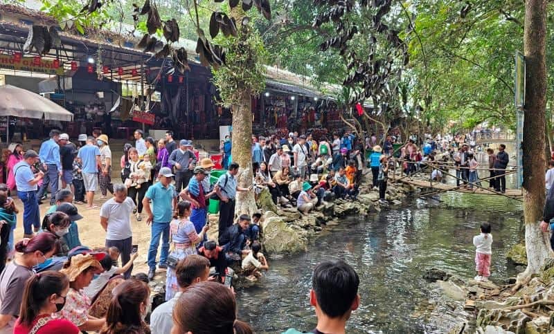 Đến suối cá thần bạn sẽ được chiêm ngưỡng cảnh núi non hùng vĩ