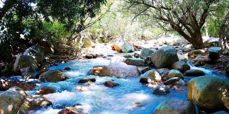 Thư giãn giữa thiên nhiên xanh mát tại suối Lồ Ô