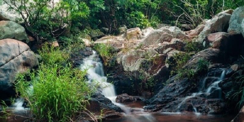 Nước suối mát lạnh hoàn hảo cho các hoạt động tắm suối, trekking hay cắm trại