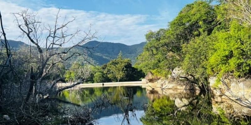 Suối Lồ Ô ẩn mình sâu trong rừng xã Vĩnh Hải, huyện Ninh Hải