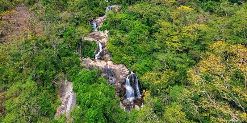 Hòa mình vào thiên nhiên giúp tái tạo năng lượng