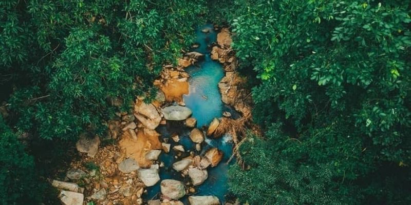 Đây là trải nghiệm được du khách yêu thích tại Suối Lồ Ô