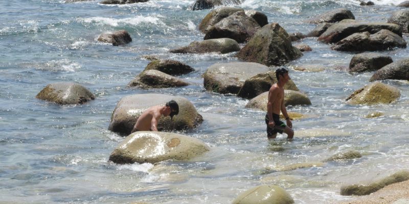 Hòa mình vào làn nước biển mát lạnh