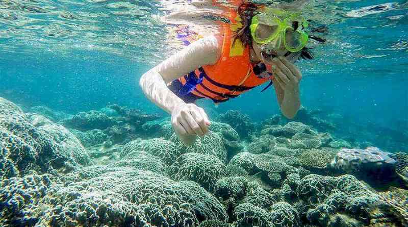 Tắm biển và lặn ngắm san hô