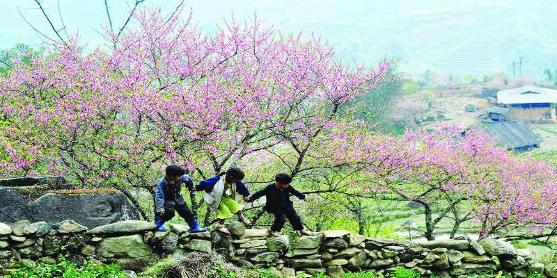 Cố đô Hoa Lư - Hà Nội dành cho ai muốn kết hợp tâm linh và thiên nhiên