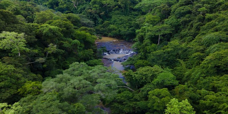 Cảnh quan rừng nguyên sinh Ea Puk từ trên cao nhìn xuống