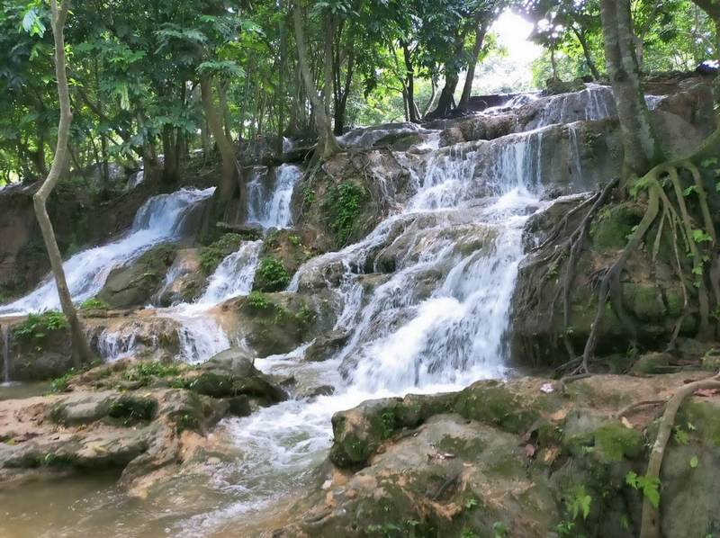 Vẻ đẹp tự nhiên mang nét mộc mạc và gần gũi