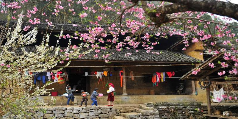 Mộc Châu tháng 3 với thiên đường hoa với hoa mận, hoa đào