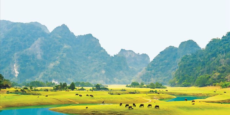 Thảo nguyên Đồng Lâm nằm tại tỉnh Lạng Sơn