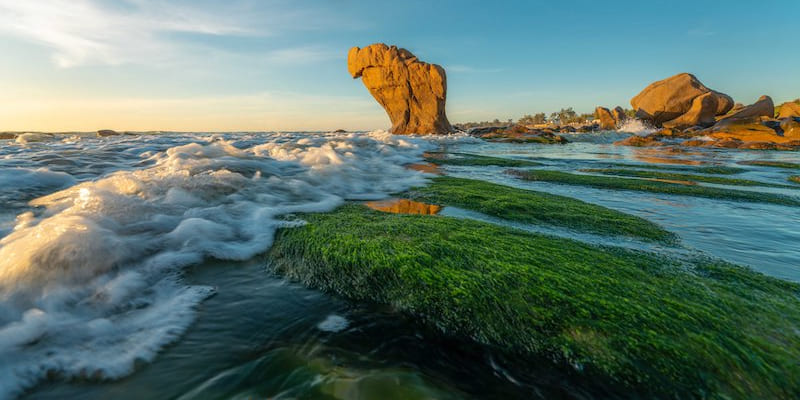 Theo dõi lịch thủy triều để trải nghiệm hoạt động ngoài trời an toàn