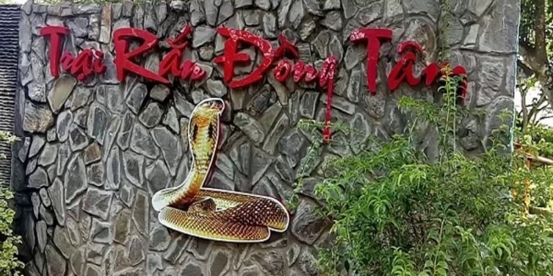Trại rắn Đồng Tâm trưng bày hơn 400 loài rắn, kết hợp giáo dục và bảo tồn