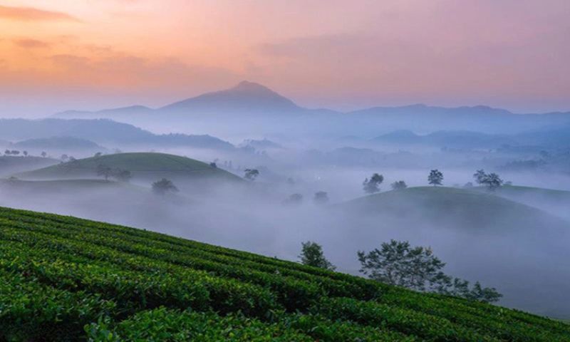 Thời điểm trời vào thu được cho là lý tưởng tới ốc đảo chè