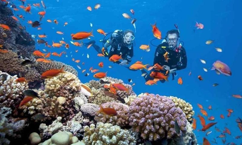 Thời gian đẹp để tới đảo là vào mùa hè